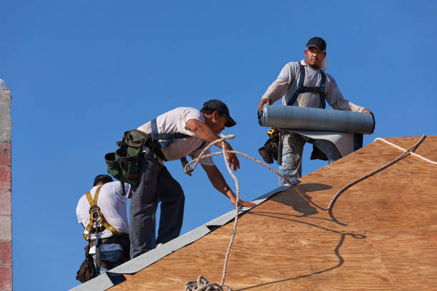 Best Roof Gutter Cleaning  in Yellow Springs, OH